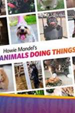 Watch Howie Mandel\'s Animals Doing Things Wootly