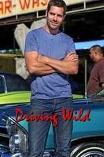 Watch Driving Wild Wootly