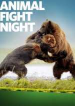 Watch Animal Fight Night Wootly