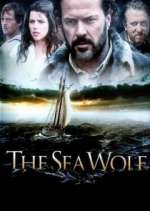 Watch Sea Wolf Wootly