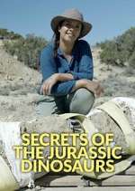 Watch Secrets of the Jurassic Dinosaurs Wootly