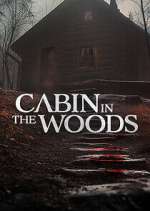 Watch Cabin in the Woods Wootly