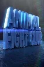 Watch Animal Fight Club  Wootly