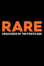 Watch Rare: Creatures of the Photo Ark Wootly