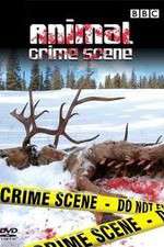 Watch Animal Crime Scene Wootly