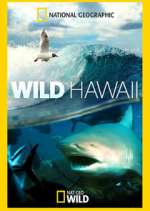 Watch Wild Hawaii Wootly