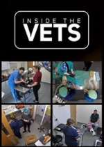 Watch Inside the Vets Wootly