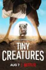 Watch Tiny Creatures Wootly