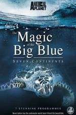 Watch The Magic of the Big Blue Wootly