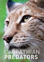 Watch Carpathian Predators Wootly