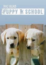 Watch Dog Squad: Puppy School Wootly