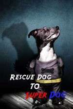 Watch Rescue Dog to Super Dog Wootly