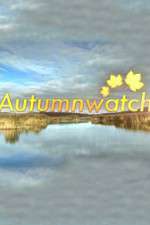 Watch Autumnwatch Wootly