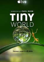 Watch Tiny World Wootly