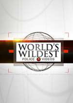 Watch World's Wildest Police Videos Wootly