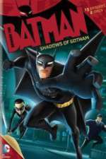 Watch Beware the Batman: Shadows of Gotham Wootly