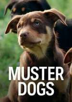 Watch Muster Dogs Wootly