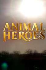 Watch Animal Heroes Wootly