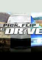 Watch Pick, Flip & Drive Wootly