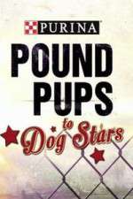 Watch Purina Pound Pups To Dog Stars Wootly
