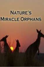 Watch Nature's Miracle Orphans Wootly