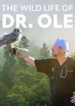 Watch The Wild Life of Dr. Ole Wootly