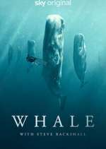 Watch Whale with Steve Backshall Wootly