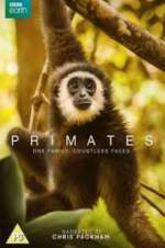 Watch Primates Wootly