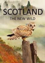 Watch Scotland - The New Wild Wootly