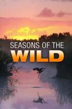 Watch Seasons of the Wild Wootly