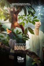 Watch Judi Dench\'s Wild Borneo Adventure Wootly