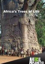 Watch Africa's Trees of Life Wootly