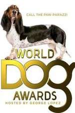 Watch The World Dog Awards Wootly