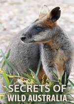 Watch Secrets of Wild Australia Wootly