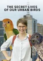 Watch The Secret Lives of Our Urban Birds Wootly