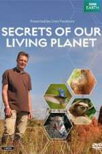 Watch Secrets of Our Living Planet Wootly