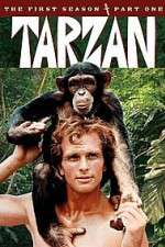Watch Tarzan Wootly