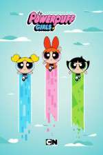 Watch The Powerpuff Girls (2016) Wootly