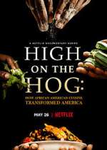 Watch High on the Hog: How African American Cuisine Transformed America Wootly