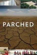 Watch Parched Wootly