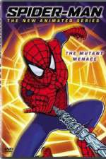 Watch Spider-Man 2003 Wootly