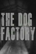 Watch The Dog Factory Wootly