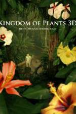 Watch Kingdom of Plants 3D Wootly