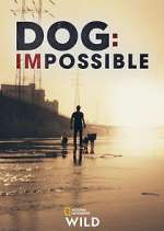 Watch Dog: Impossible Wootly