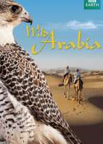 Watch Wild Arabia Wootly