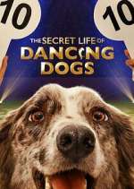 Watch The Secret Life of Dancing Dogs Wootly