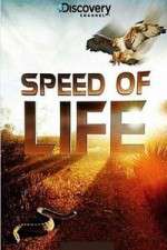 Watch Discovery Channel Speed Of Life Wootly