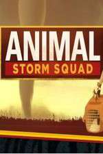 Watch Animal Storm Squad Wootly