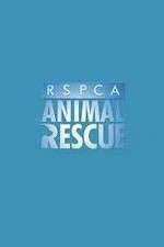 Watch RSPCA Animal Rescue Wootly