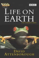 Watch Life on Earth Wootly